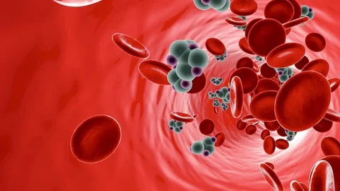 Blood Sugar Support — Gluco Grove